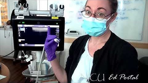 NICU POCUS- Ultrasound Basics: Transducers