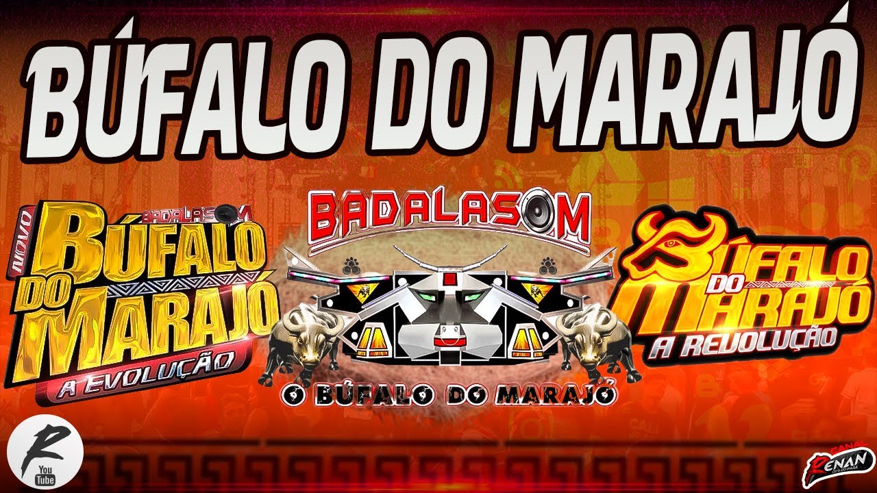 O MELHOR DO BÚFALO DO MARAJÓ TODOS OS SUCESSOS