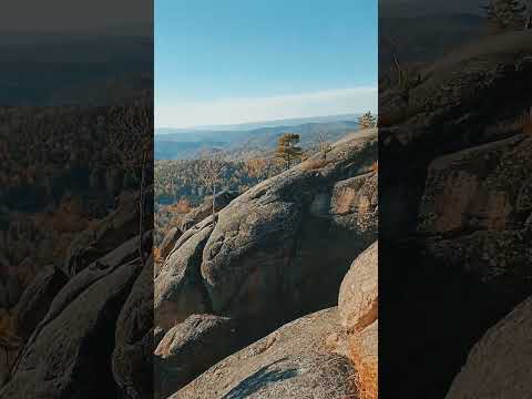 wild nature in Siberia #shorts #nature #3D #animation #ocean #2023 #funny #forest #usa #mountains