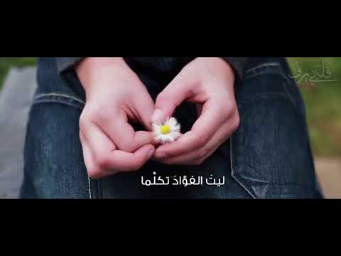 قلبي يرف