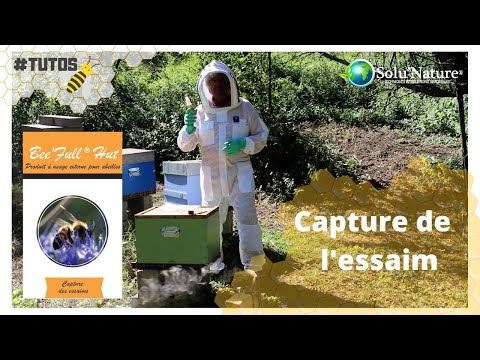 Vidéo: Is Bee Bee Tree Invasive - Informations sur l'entretien des arbres d'abeilles