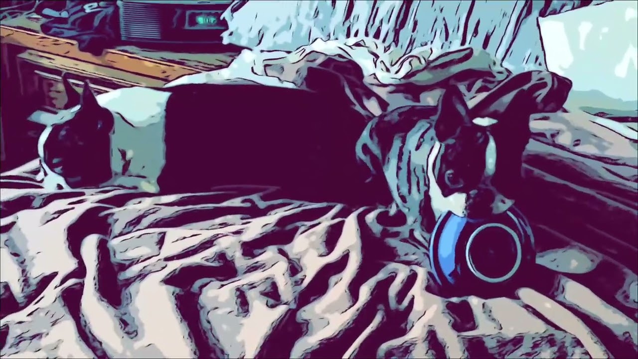 WALDO & BRUNO present: UNUARY, A VERY UNWINTRY WINTER- end of month wander thru a W Oregon USA yard