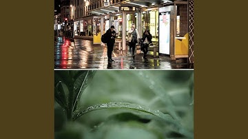 Pulsating Ambiance for Cozy Days at Home