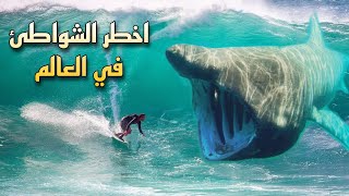 اخـطـر 8 شواطئ في العالم - تعتبر السباحة فيها بمثابة الانـ.ـتحـــار