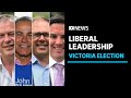 Vic liberal party leader contenders emerge as andrews government goes back to work  abc news