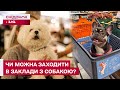 Пет-френдлі чи просто маркетинговий хід? Що робити, якщо вас не пускають в заклад з улюбленцем?