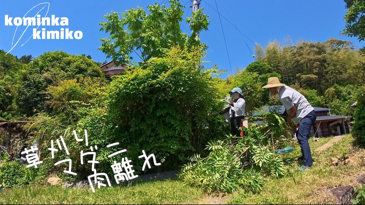 【古民家に住もう#331】ＧＷは雑草と畑に追われしまなみ海道で力尽きる