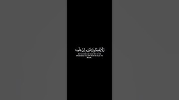 #قرآن كريم #سورة_البقرة #اية_الكرسي #احمد_العجمي #كرومات_قرآن
