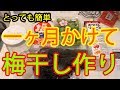 【梅干しの作り方】一ヶ月かけておいしい梅干しを作るぞぃ★【青梅】