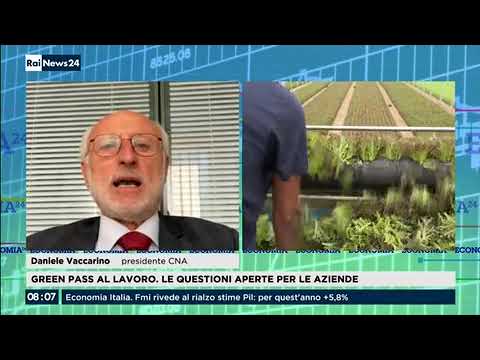 RaiNews24. Green Pass. Vaccarino: "Per i controlli le piccole imprese sono in difficoltà"