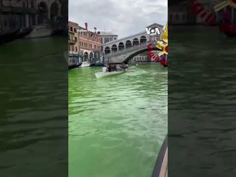 Water in Venice’s Grand Canal Turns Green #shorts | VOA News