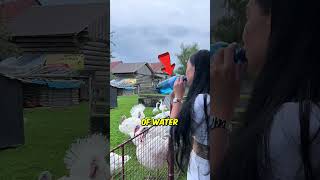 Is She Even Human? .Chupekova On Tiktok