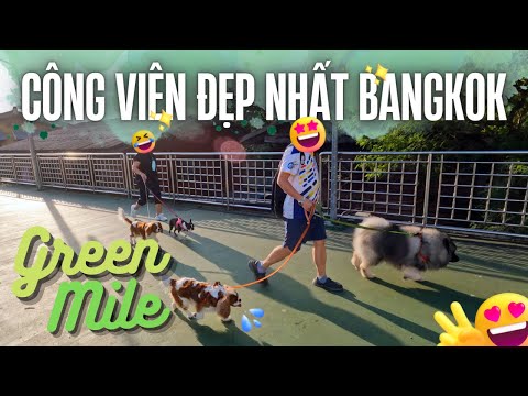 Video: Công viên Lumpini ở Bangkok: Hướng dẫn đầy đủ