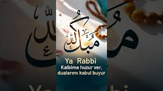 Manevi Dua🤲#amin #dua #ayet #cuma #cumagünü
