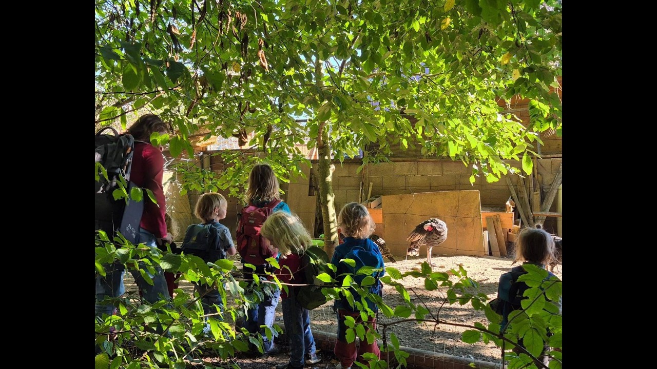 Erfahrungsberichte - Projekte