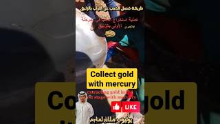 Collect gold with mercury العبري