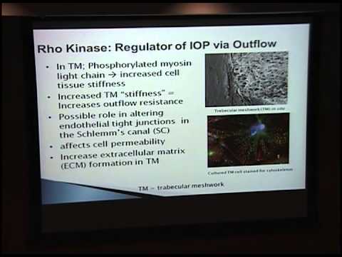 Rho Kinases in Ophthalmology