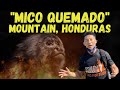 Hiking up jungles of Burning Monkey Mountain, Honduras