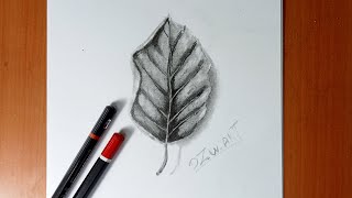 رسم ورقة شجر | رسم ورقة شجرة بقلم الرصاص| رسم ورقة الشجر | رسم سهل | تعلم الرسم |  رسم ثلاثي الابعاد