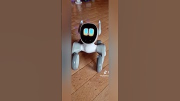 loona robot becomes a cat #loona #loonareaction #loonarobot #petrobot #airobot #petbot #minirobot