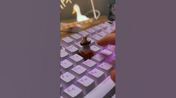 🪿🍞✨ #keyboard #keycaps #mechanicalkeyboard #customkeyboard #gaming #artisankeycaps