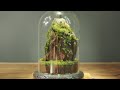 Fabriquer un terrarium de mousse 
