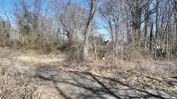 1511 Naamans Rd, Wilmington, DE 19810