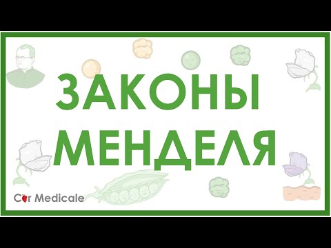 Video: Osnove Genetike: Mendelovi Zakoni