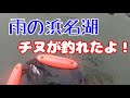 雨の中で浜名湖のチヌとキビレを釣りました！