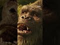 The strongest tooth on Hollow Earth.