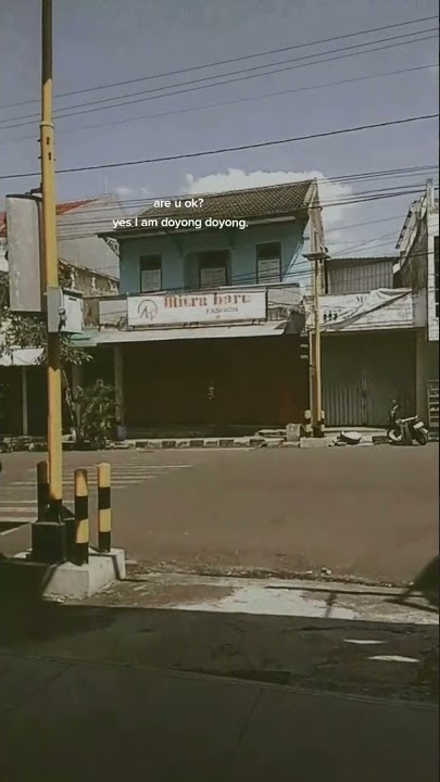 story' wa fly