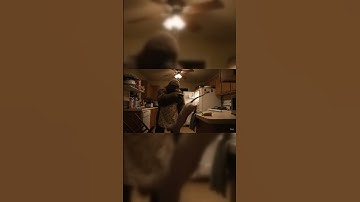 Why bigfoot vlog is Actually Hilarious  #funny #comedy