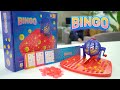 Bingo video