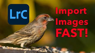 How Import Images FAST into Adobe Lightroom Classic