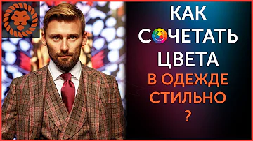 Какого цвета должна быть жилетка