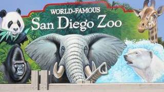 Visiting The San Diego Zoo (in HD)