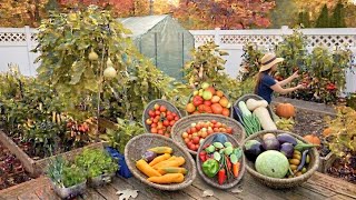 Late fall harvest | Pruning, Garden support & Clean Up