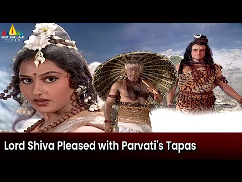 Lord Shiva was Pleased with Parvati's Tapas | Episode 68 | Om Namah Shivaya Telugu Serial - SRIBALAJIMOVIES