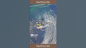 Spider webs heal wounds faster! 🩹 #emergencyhacks #facts #survivalskills