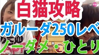 【白猫プロジェクト】レベル250ガルーダに、ウォリアーひとりで挑んでみた。ノーダメージクリアー【編集バージョン】