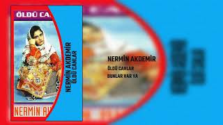 Nermin Akdemir /Bunlar Var Ya