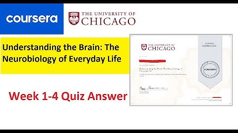 Understanding the Brain: The Neurobiology of Everyday Life Quiz Answers l Week 1-4 | U of Chicago
