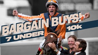 Bargain Racehorse Buys! Seven Stars Who Cost Less Than 10k 😲