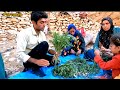 Nomads in the mountains camping and discovering mountain vegetables