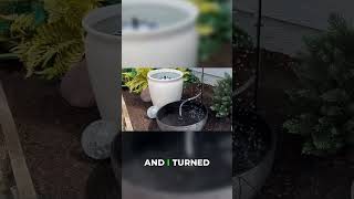 Transform Your Yard: DIY Mini Outdoor Oasis