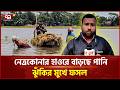 নেত্রকোনার হাওরে বাড়ছে পানি, ঝুঁকির মুখে ফসল | Netrokona | Flood | Ekattor TV