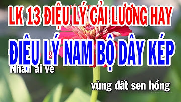 Karaoke Liên Khúc 13 Điệu Lý Cải Lương Nam Bộ Dây Kép | Các Điệu Lý Cực Hay Nhất 2023