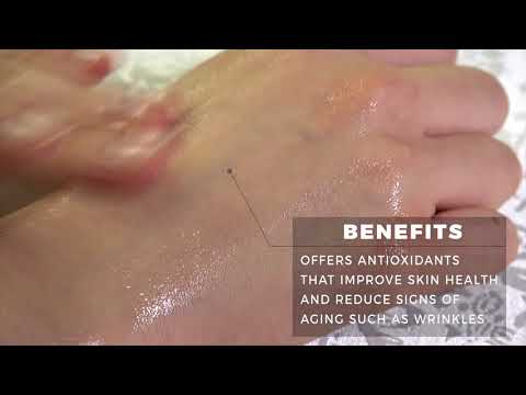 시니케어 MONICA Placenta Ampoule 제품 홍보