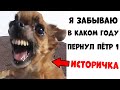 Лютые приколы. ТИПИЧНАЯ ИСТОРИЧКА . угарные мемы