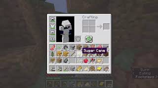 I play Minecraft for a bit. @ztgasdf